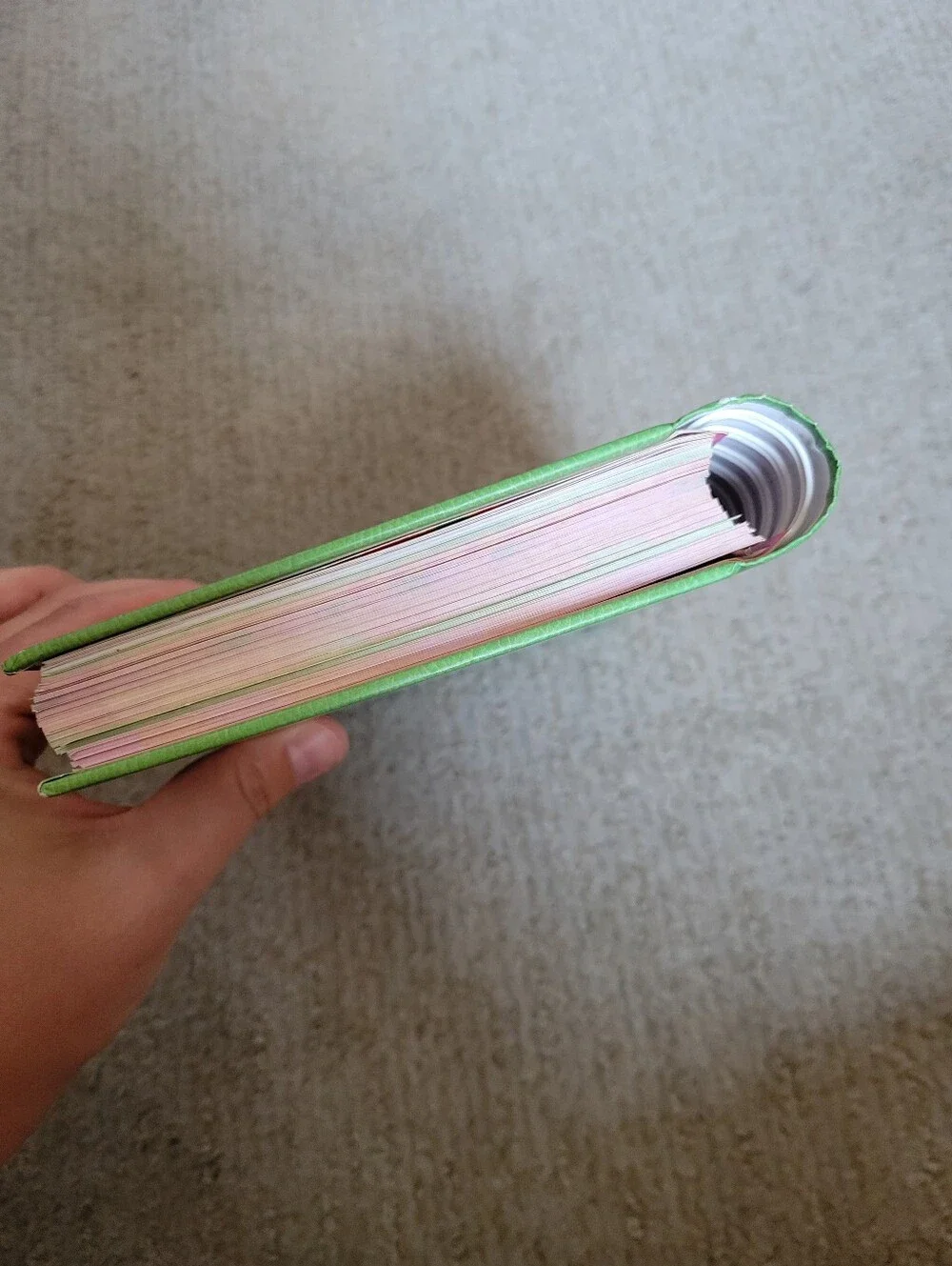 Organize NOW! Home Organization Planner Journal